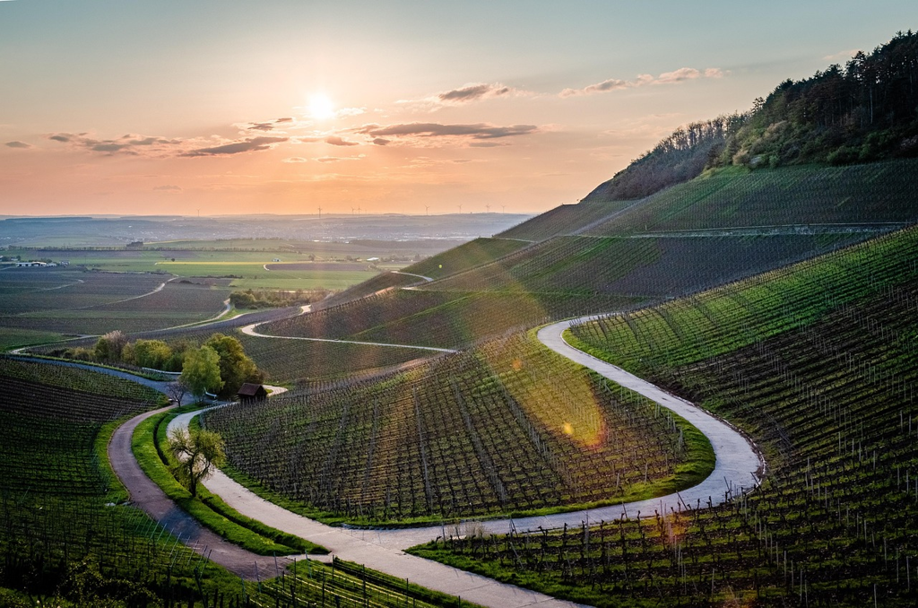 Panoramablick auf Felsen und Wald in Franken