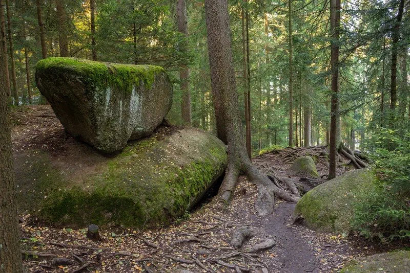Großer Felsblock im Wald in Franken