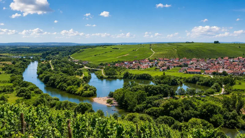 Ein Blick von der Vogelsburg auf die Mainschleife bei Volkach mit Weinbergen und Main