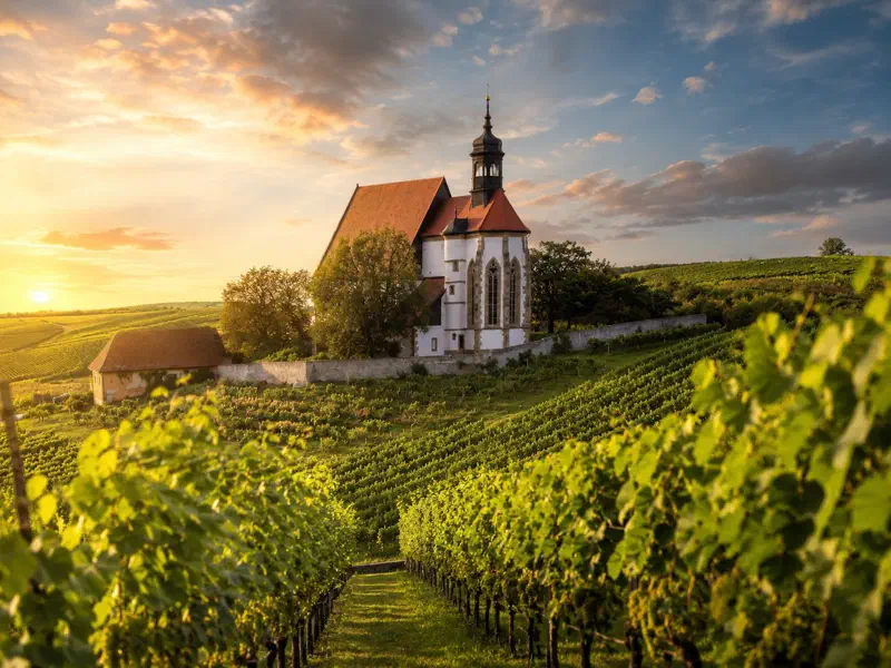 Ein Blick auf die Wallfahrtskirche Maria im Weingarten in Volkach mit Weinbergen im Vordergrund