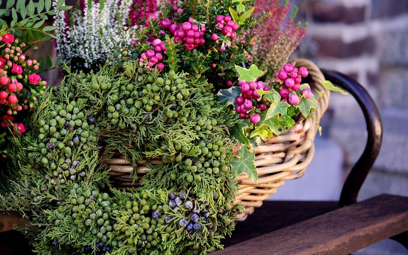 Herbstfarben in Franken, goldenes Laub über dem Altmühltal mit Kalkfelsen und Flusstal bei Sonnenschein