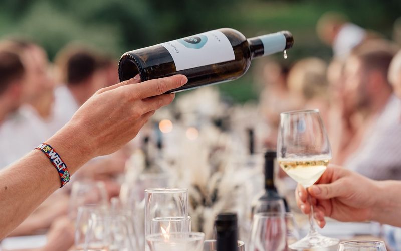 Fränkischer Wein und Weinberge
