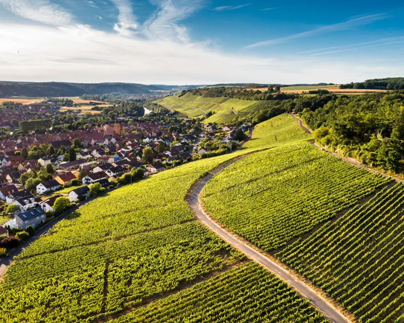 Fränkische Weinberge am Maindreieck mit Blick auf den Main