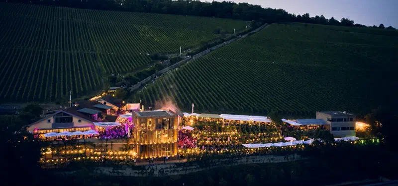 Weingut am Stein in Würzburg