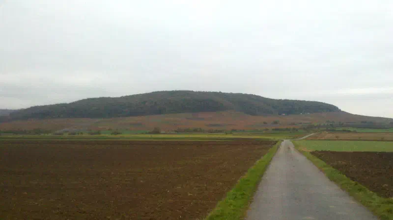 Ländliche Landschaft am Bullenheimer Berg im Weinparadies Franken