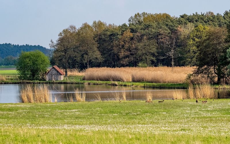 Karpfensaison Franken im Weihergebiet bei Mohrhof im Aischgrund