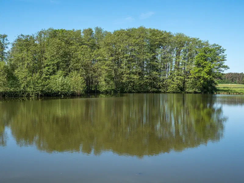 Karpfenweiher bei Biengarten in der Teichlandschaft des Aischgrunds