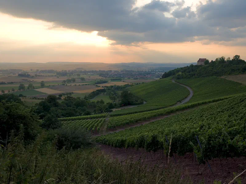 Weinberge bei Ipsheim mit Burg Hoheneck über dem Aischtal