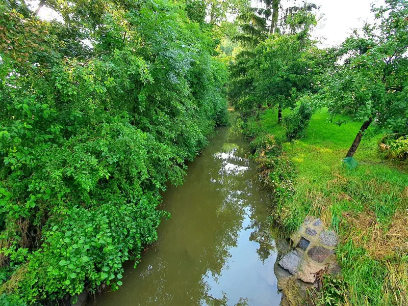 Grüner Wasserlauf der Tief bei Kaubenheim nahe dem Aischtalradweg