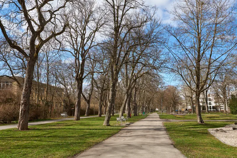 Allee im Kurpark am Bad Windsheim Rundwanderweg
