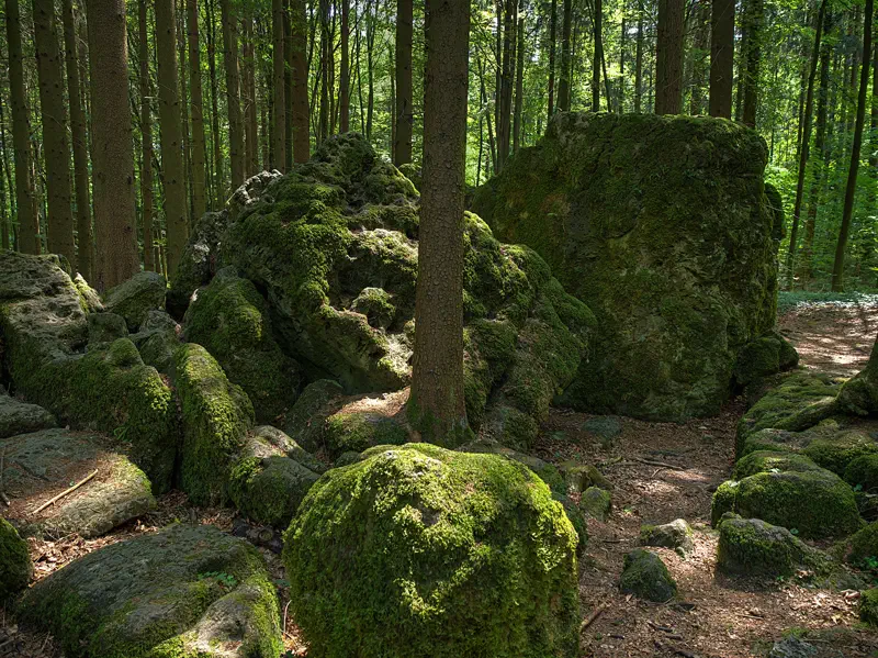 Druidenhain, moosbewachsene Felsen (Druidenhain1)