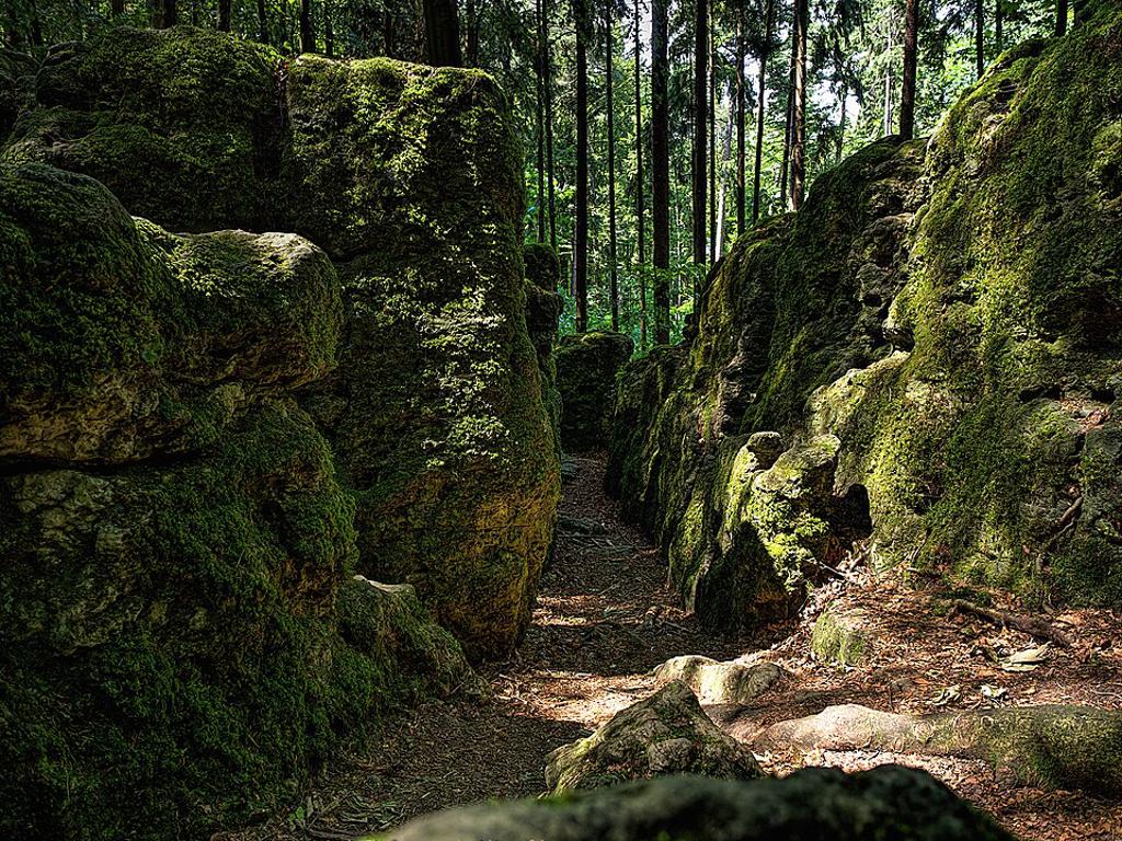 Druidenhain, moosbewachsene Felsblöcke (Druidenhain4)
