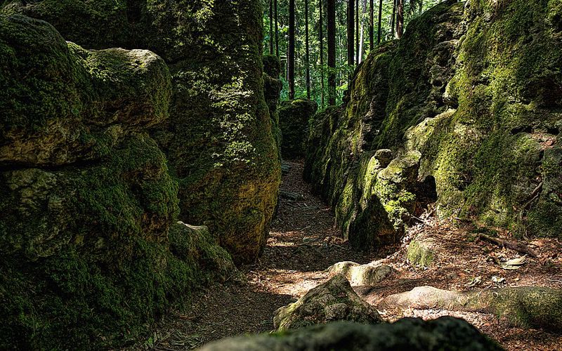 Druidenhain, moosbewachsene Felsblöcke (Druidenhain4)