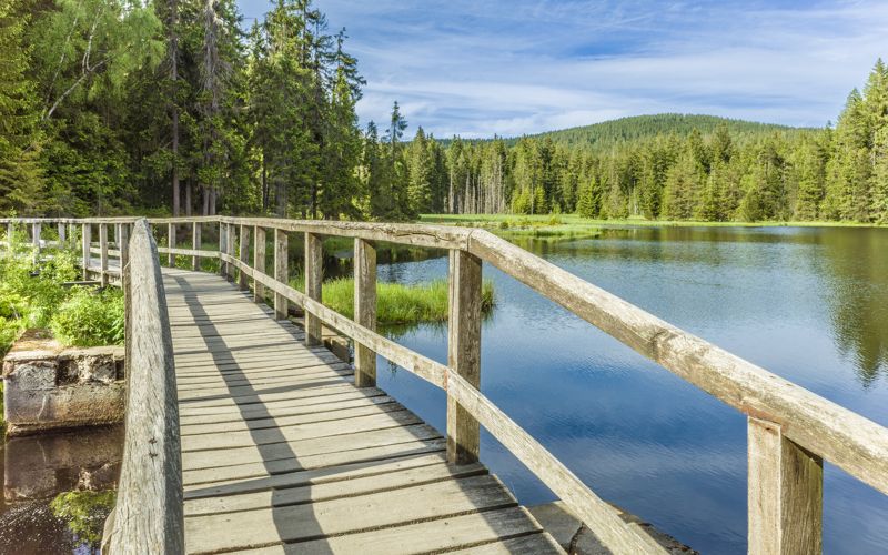 Fichtelsee Rundweg über einen Holzsteg zwischen See und Wald