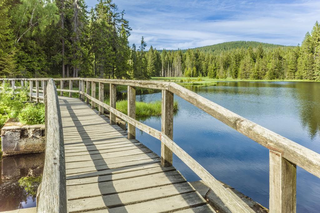 Fichtelsee Rundweg über einen Holzsteg zwischen See und Wald