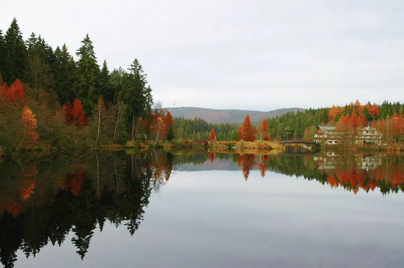 Fichtelsee im Herbst mit Spiegelungen von Wald und roten Laubbäumen