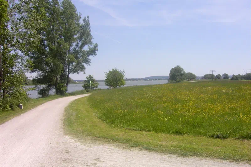 Befestigter Radweg zwischen Wiesen und Bäumen am Brombachsee