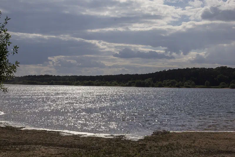 Rothsee mit offener Wasserfläche und bewaldetem Naturufer