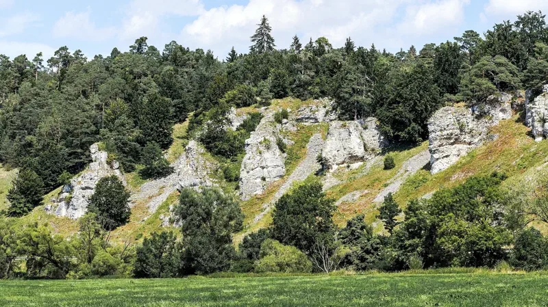 Helle Dolomitfelsen der Zwölf Apostel bei Solnhofen