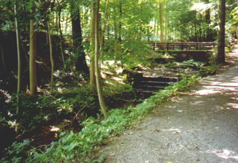 Waldweg mit kleinen Wasserstufen und Holzbrücke im Kaskadental
