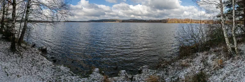 Bewaldetes Ufer im Naturschutzgebiet am Kleinen Brombachsee