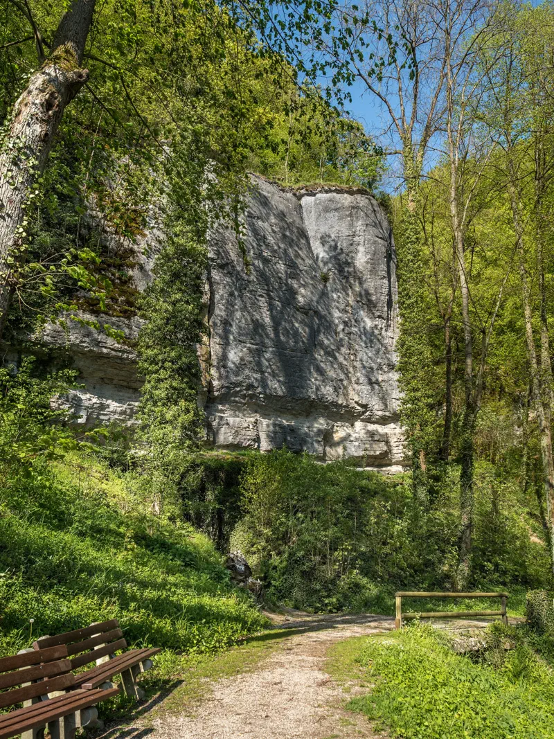 Waldweg und Kalkwand an der Glatten Wand bei Streitberg