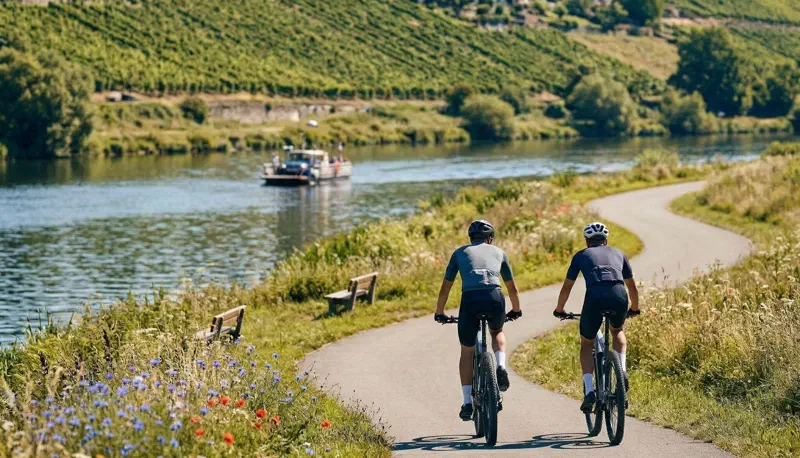 E-Biker fahren auf dem asphaltierten Mainradweg direkt neben Fluss und Weinbergen