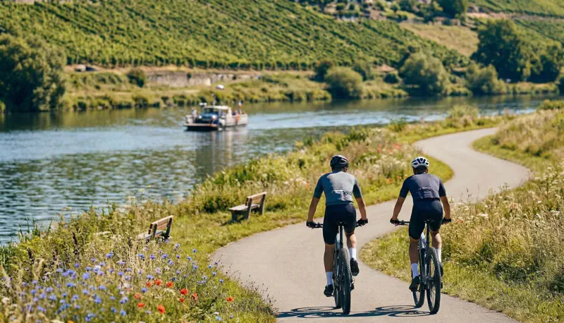 E-Biker fahren auf dem asphaltierten Mainradweg direkt neben Fluss und Weinbergen