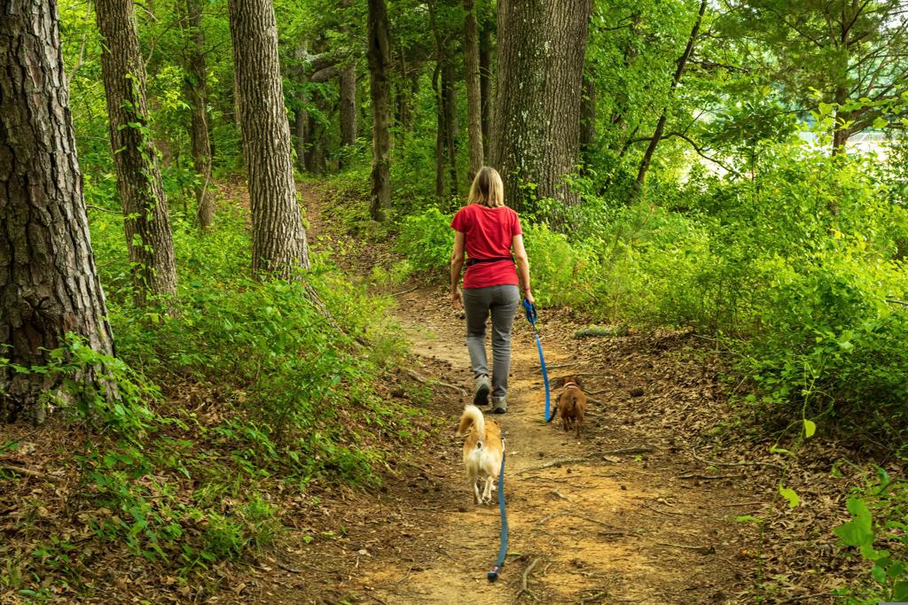 Ein glücklicher Hund sitzt vor einer malerischen Felskulisse in der Fränkischen Schweiz