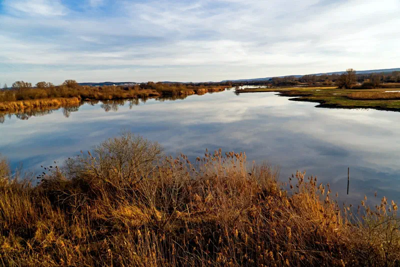 Flachwasser und Inseln im Naturschutzgebiet Vogelinsel am Altmühlsee