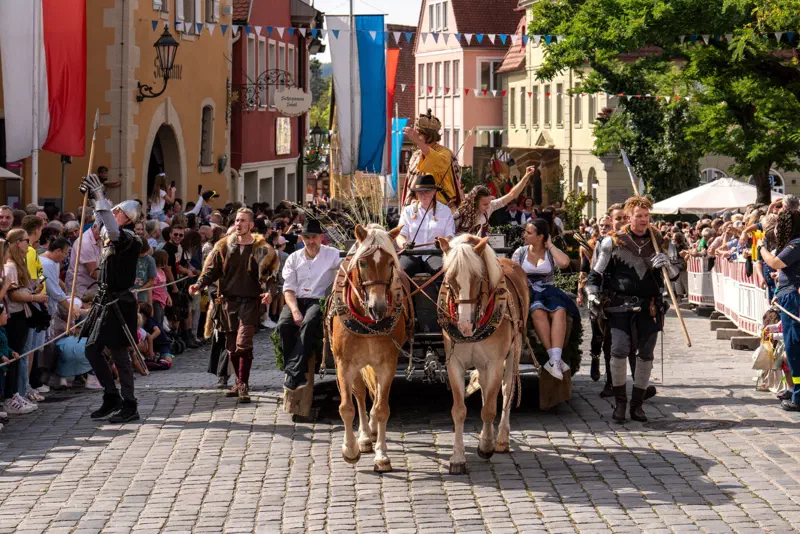 Pferdekutsche und kostümierte Teilnehmende beim Mooswiesenfestzug in Feuchtwangen