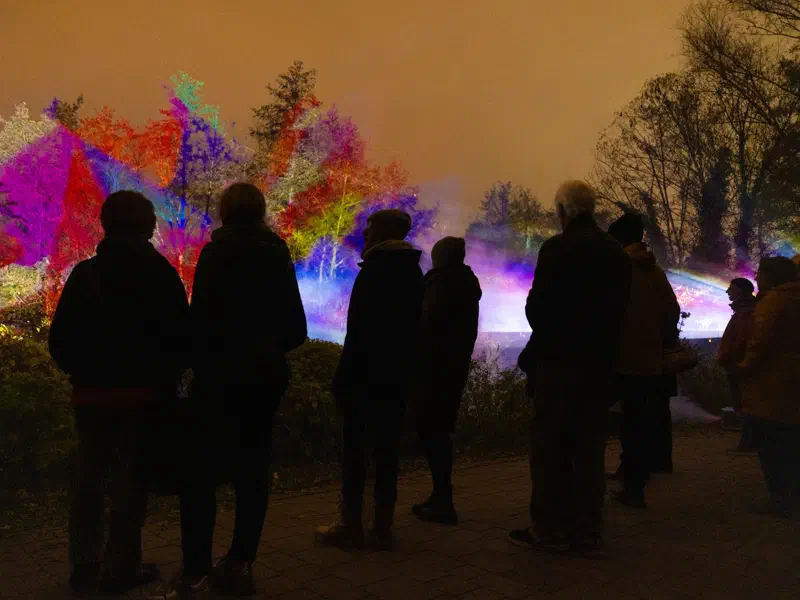 Bunt beleuchtete Bäume und Menschen an der Uferpromenade bei den Fürther Glanzlichtern