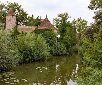 Inselwiese und Stadtmühle