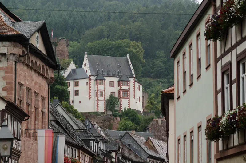 Mildenburg über den Häusern der Miltenberger Altstadt
