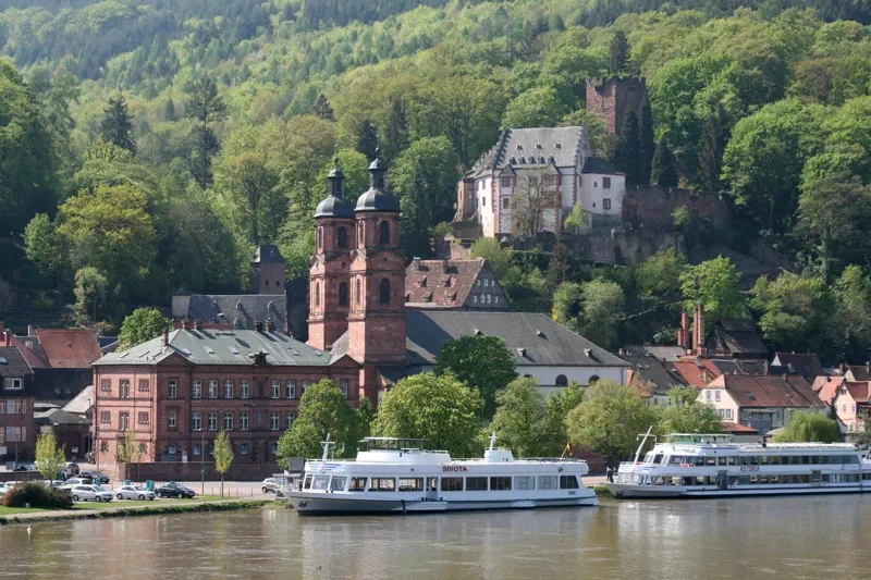 Miltenberg am Main mit St. Jakobus und Mildenburg