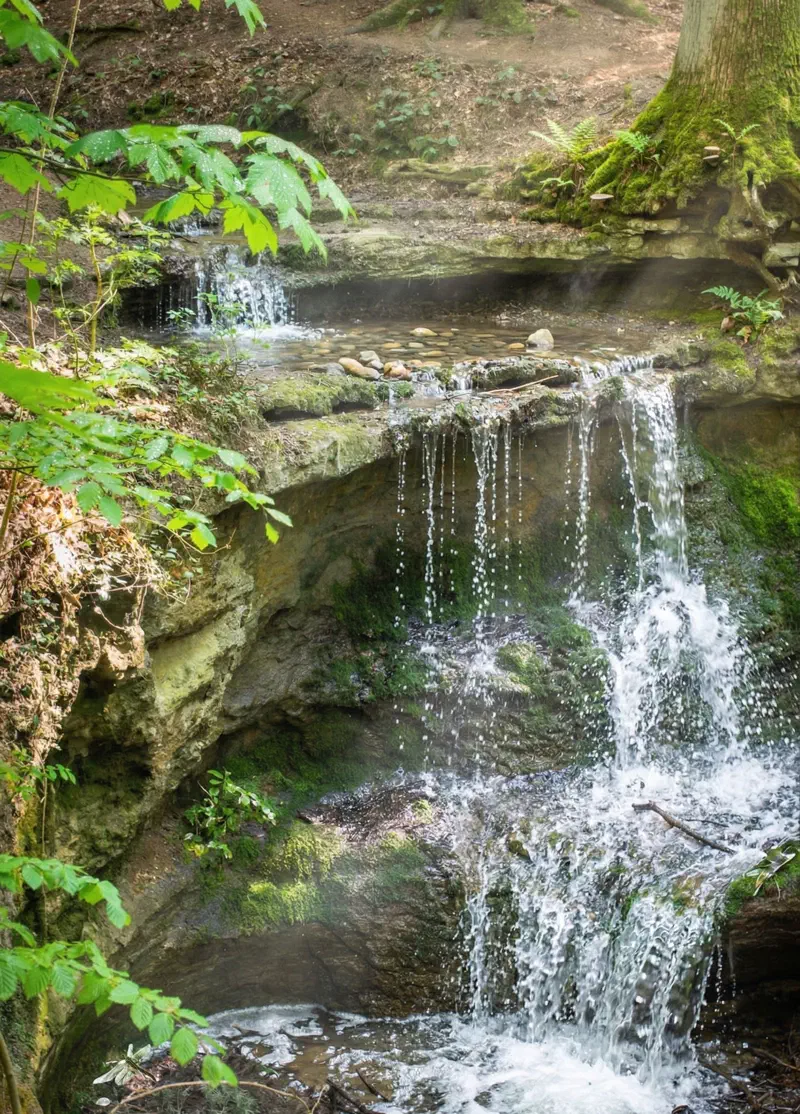 Die klingenden Wasserfälle im Moritzberg, umgeben von dichtem Wald und felsigen Pfaden, ein Highlight für sportliche Wanderer