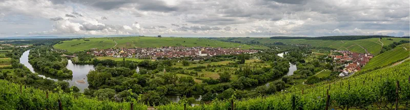 Panorama der Volkacher Mainschleife mit Main und Weinbergen