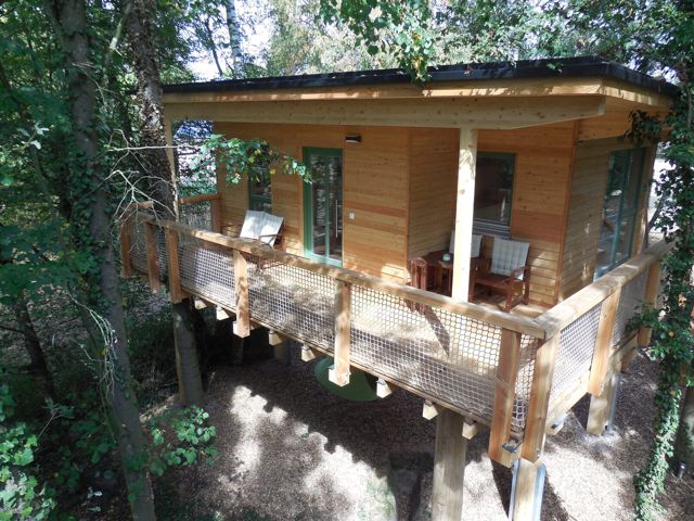 MainBaumhaus in Lengfurt mit Holzterrasse und Steg zwischen Bäumen