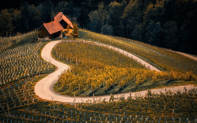 Bauernhofurlaub Franken: Ferienhof in der Fränkischen Schweiz mit Hoftieren und Spielscheune