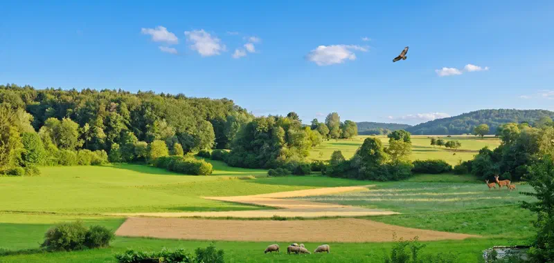 Ferien auf einem fränkischen Bauernhof inmitten der malerischen Landschaft der Fränkischen Schweiz.