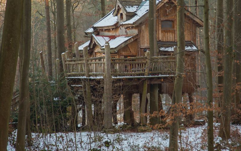 Ein Baumhaus in Mitten des Waldes. Traumhafte Übernachtungen mit romantischem Flair.