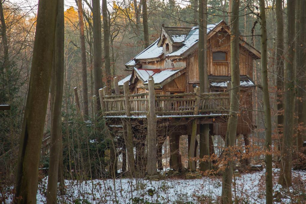 Ein Baumhaus in Mitten des Waldes. Traumhafte Übernachtungen mit romantischem Flair.