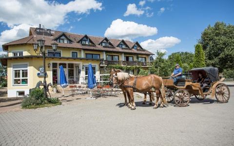 Pferdekutsche vor dem Hotel Reiterhof Altmühlsee