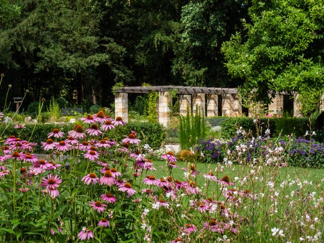Sommerliche Beete im Botanischen Garten des Bamberger Hains