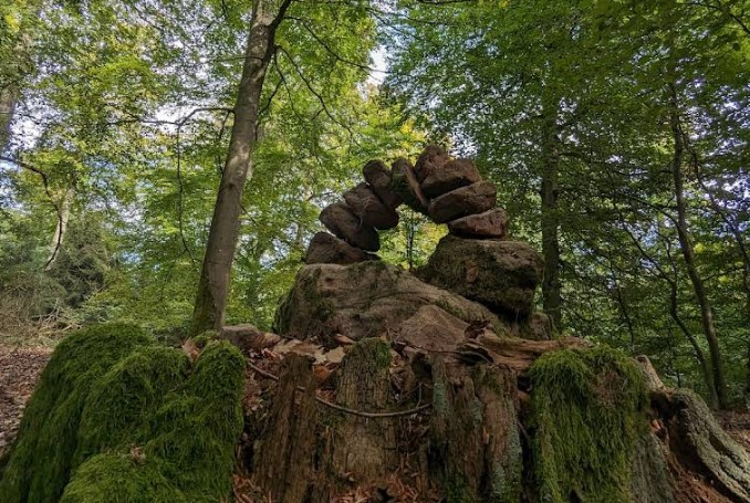 Naturwaldreservat Hoher Knuck, Spessart