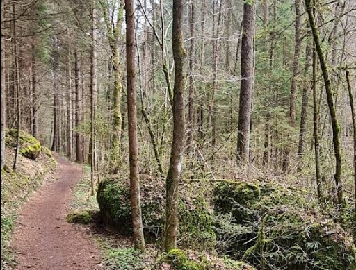 Püttlachtal bei Pottenstein