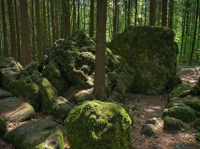 Moosbewachsene Felsblöcke im Druidenhain bei Muggendorf