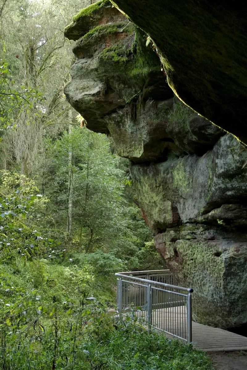 Steg unter einem Sandsteinüberhang in der Schwarzachklamm