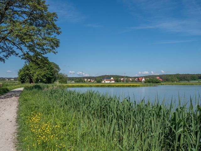 Karpfenweiher mit Uferweg und Biengarten in der Teichlandschaft des Aischgrunds