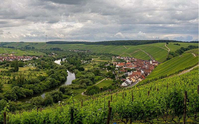 Ausflugsziele Unterfranken mit Main und Weinbergen an der Volkacher Mainschleife